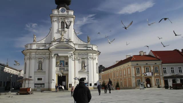 Najlepsze atrakcje w okolicy Wadowic, które musisz zobaczyć Najlepsze atrakcje w okolicy Wadowic, które musisz zobaczyć